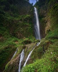 View of waterfall in forest