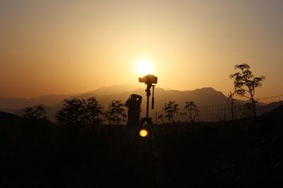 Silhouette plants against sky during sunset