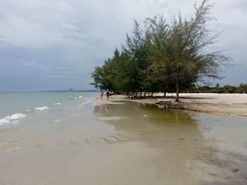 People on beach against sky