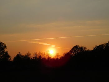 Silhouette trees against sky during sunset