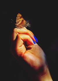 Close-up of hand holding leaf against black background