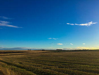 Scenic view of rural landscape