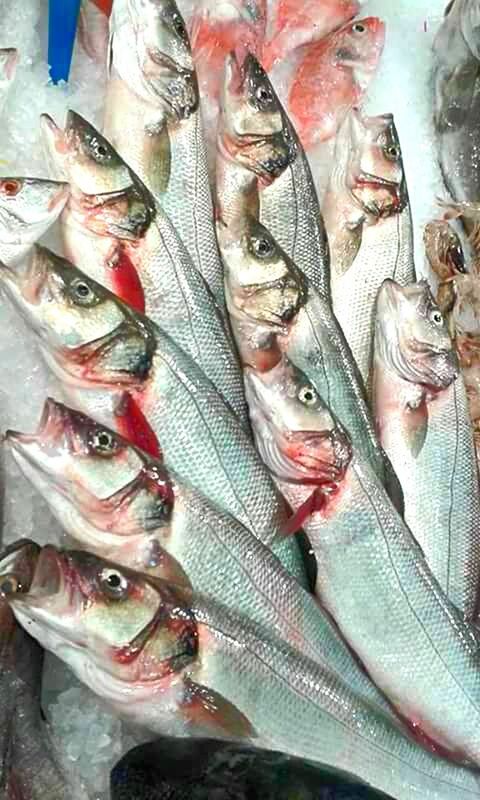 HIGH ANGLE VIEW OF FISH FOR SALE