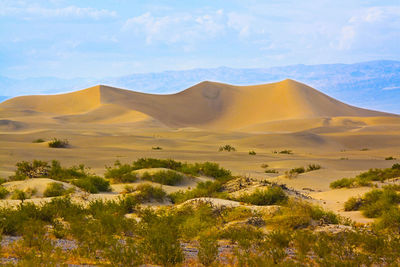 Scenic view of desert against sky