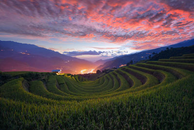 Mu cang chai, landscape terraced rice field near sapa, north vietnam