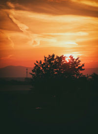 Silhouette tree against orange sky