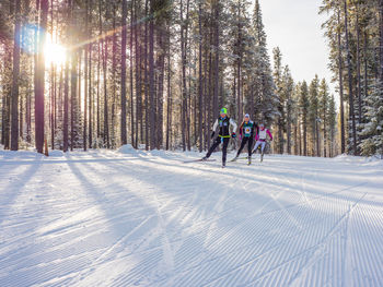 People in snow covered forest