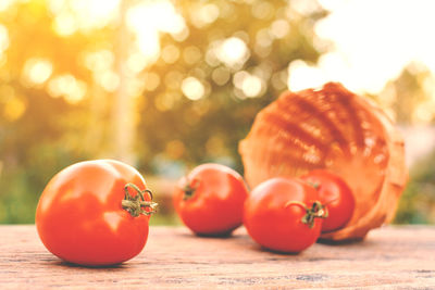 Tomatoes on wooden table