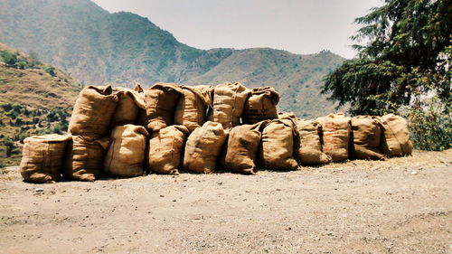 View of sacks by road
