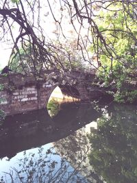 Bridge over river