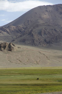 Scenic view of desert against sky