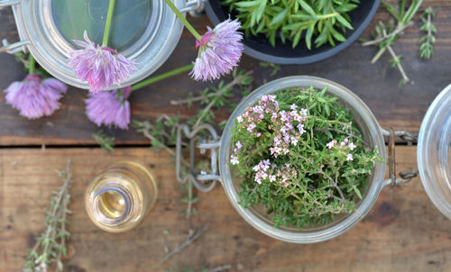 High angle view of potted plant on table