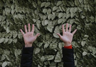 Cropped image of hands against plants