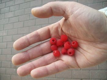 Midsection of person holding strawberry