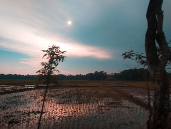 Scenic view of field against sky during sunset