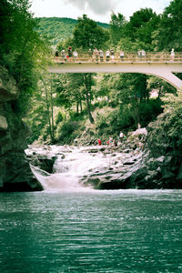 Scenic view of river with trees in background