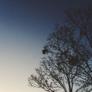 Low angle view of silhouette tree against clear sky