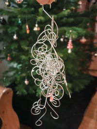 Close-up of plant hanging on metal