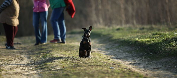 Low section of people with dog on field