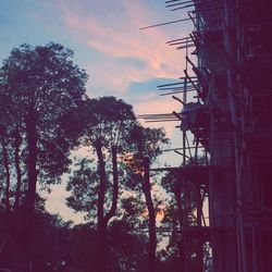 Low angle view of trees against sky