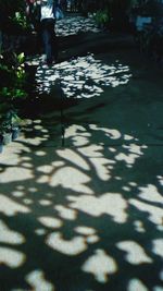 Shadow of person on footpath in park