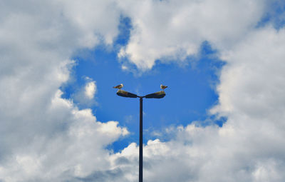 Low angle view of bird perching on pole against sky