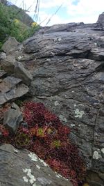 Close-up of rock against sky