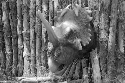 Close-up of dead plant by tree trunk