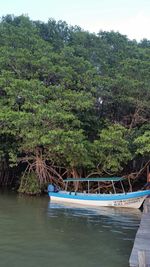 Scenic view of lake