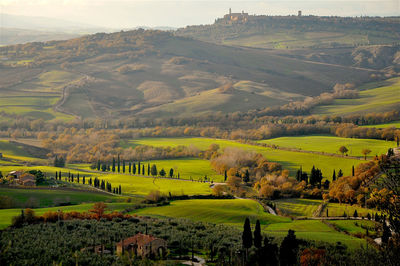 Scenic view of agricultural field