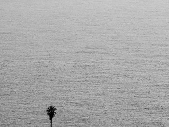 Rear view of person standing by sea