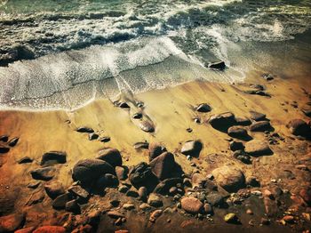 Waves splashing on rocks at beach