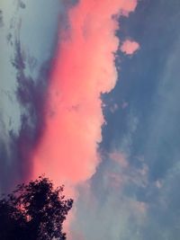 Low angle view of silhouette tree against sky at sunset