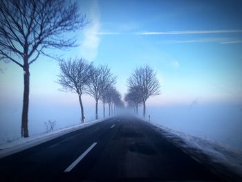 Road along trees in misty season