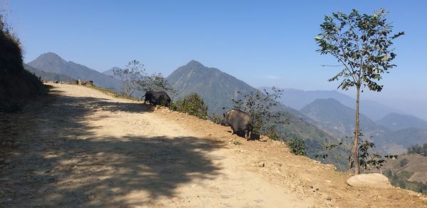 View of a road along landscape