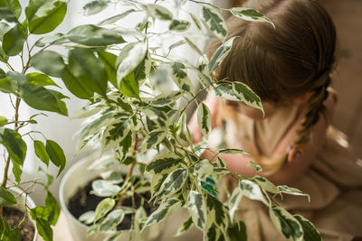 Portrait of boy and plants