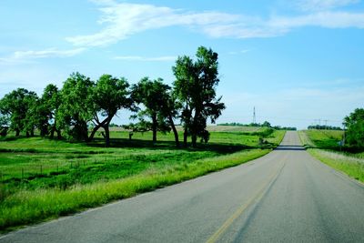 Empty road along trees