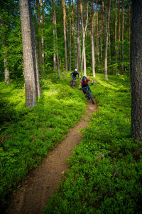 A young woman and a young man riding their mountain bikes on a singletrail near klagenfurt, austria.