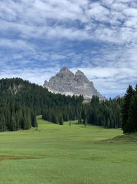 Scenic view of field against sky