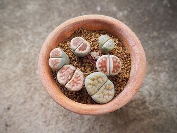 High angle view of food in bowl