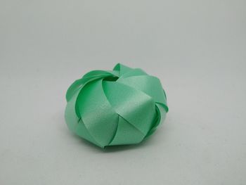 High angle view of green leaf on white background