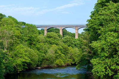 Arch bridge over river against sky