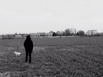 Dog grazing on field