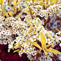 Close-up of yellow flowers