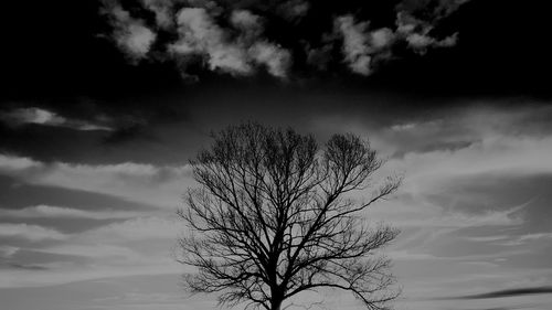 Low angle view of bare tree against sky