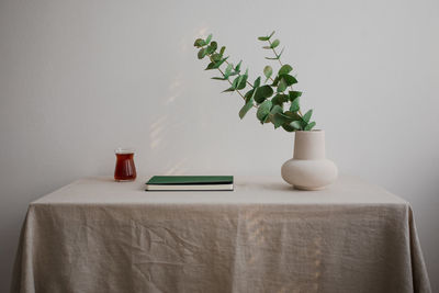 Potted plant on table against wall at home