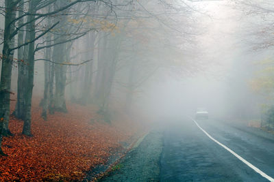 View of road by field during foggy weather