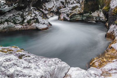 Scenic view of waterfall in forest