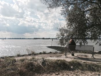 Rear view of man standing on shore against sky