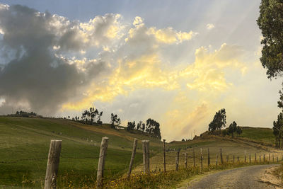 Scenic view of field against sky during sunset